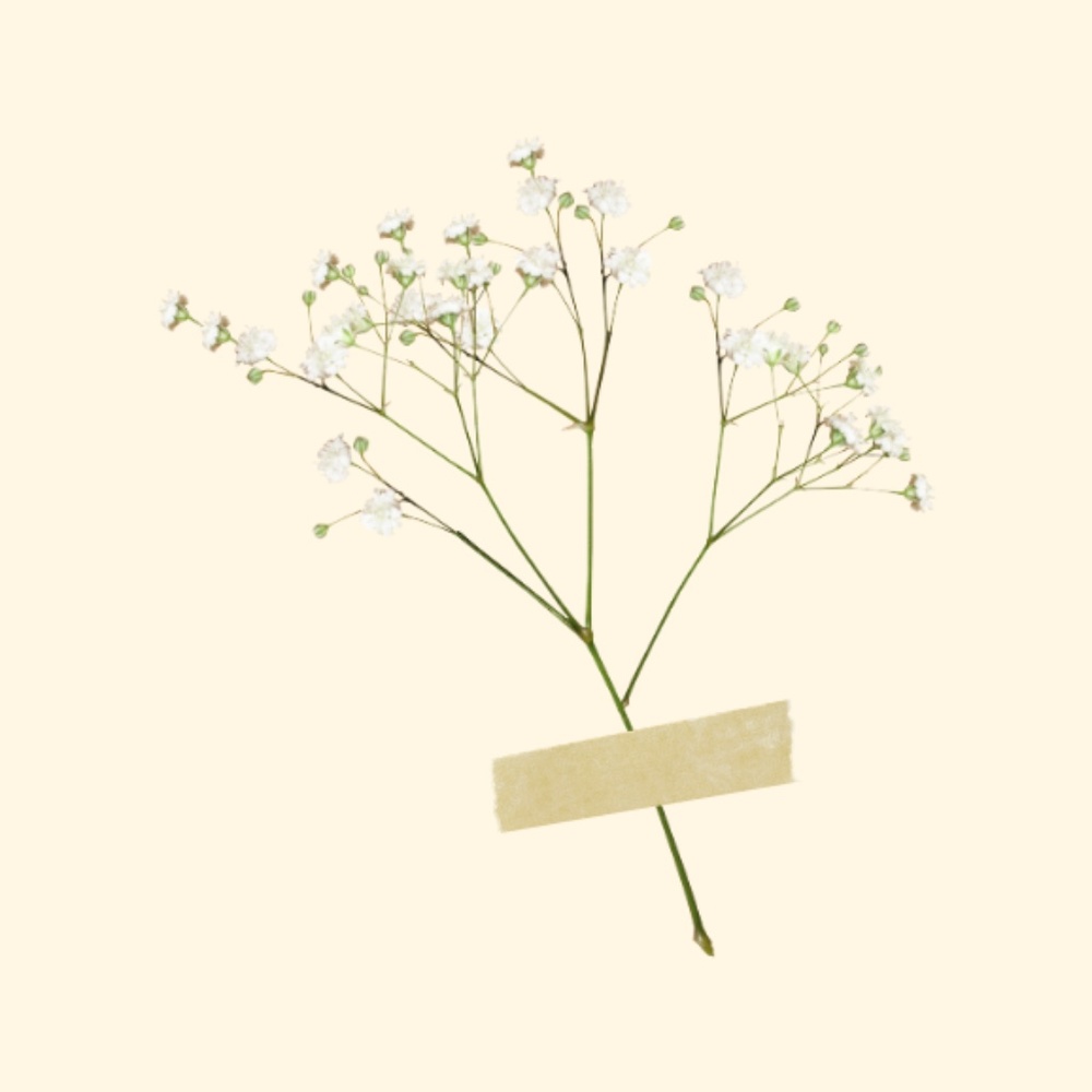 Meet your Posher, Atlas